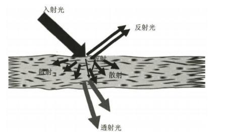 納米纖維素：透明紙基材料定義、分類、制備方法及應(yīng)用