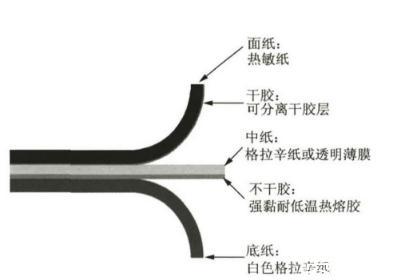 納米纖維素：透明紙基材料定義、分類、制備方法及應(yīng)用