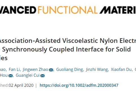 尼龍基高粘彈性聚合物固態(tài)電解質(zhì)！