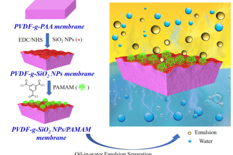 浙江大學(xué)黃小軍團隊在PVDF油水分離膜、梯度膜生物檢測傳感領(lǐng)域取得系列進展