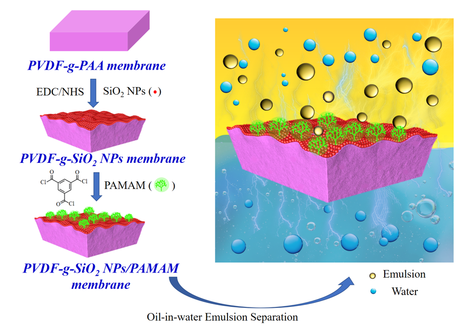 浙江大學(xué)黃小軍團隊在PVDF油水分離膜、梯度膜生物檢測傳感領(lǐng)域取得系列進展