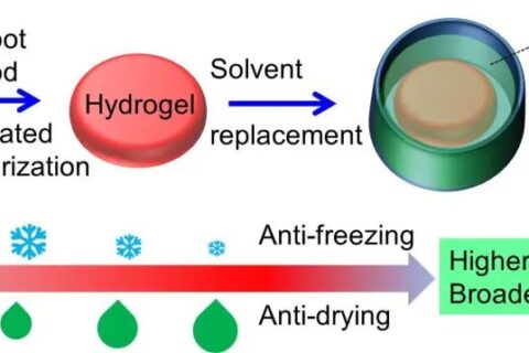 中山大學(xué)吳進《ACS AMI》：基于熱穩(wěn)定、自修復(fù)有機水凝膠的高靈敏、可拉伸溫度傳感器