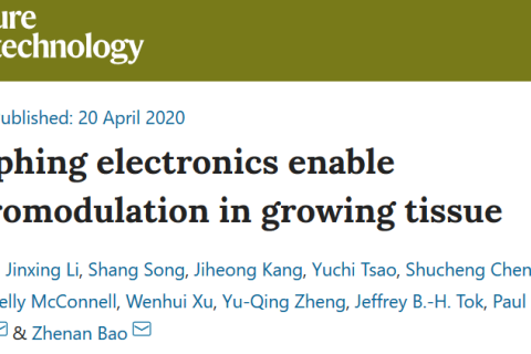 鮑哲南《Nature Biotech. 》: 可形變生物電子器件攻克體內植入難題