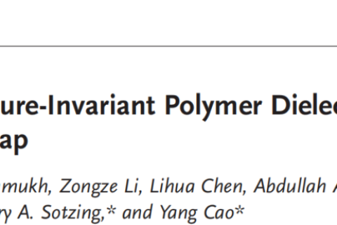 所見最佳柔性聚合物電介質(zhì)，適用于極端環(huán)境！