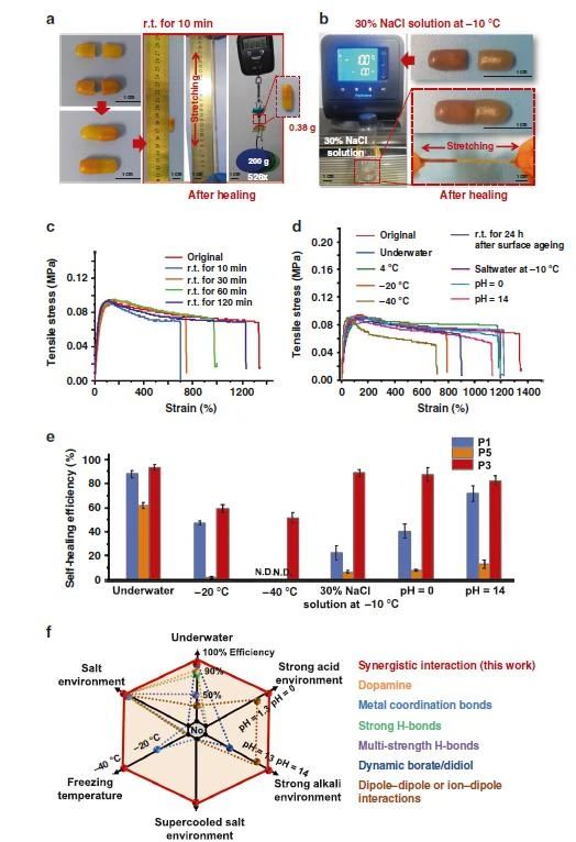 高度可拉伸自修復(fù)彈性體，可在各種極端條件下實現(xiàn)自修復(fù)