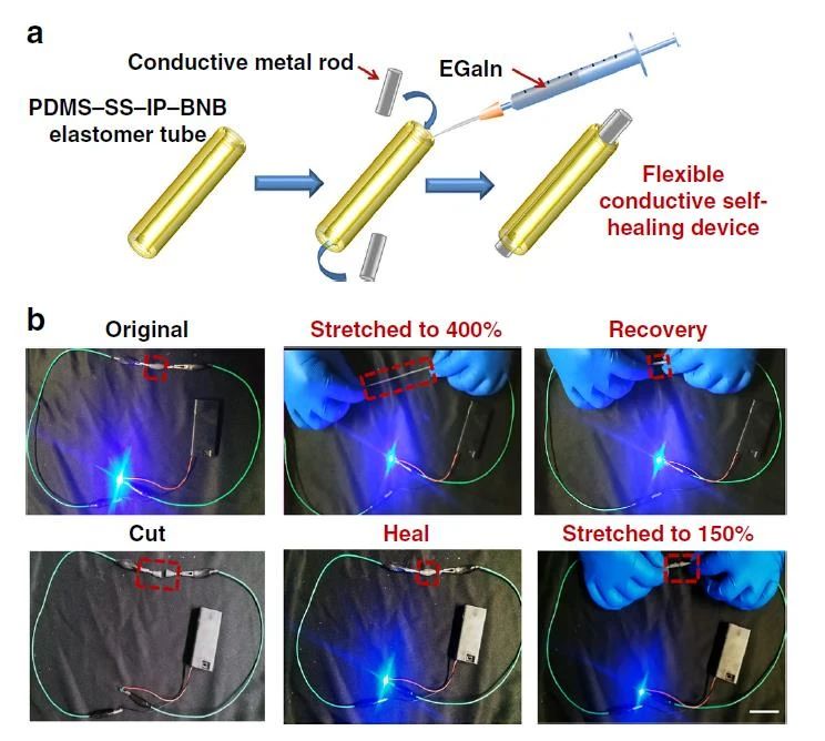 高度可拉伸自修復(fù)彈性體，可在各種極端條件下實現(xiàn)自修復(fù)