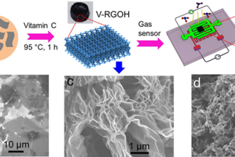 用于高性能氣體檢測的三維功能化石墨烯水凝膠，兼具三維和綠色合成！