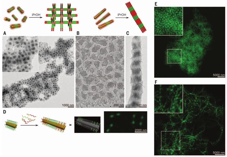 1個(gè)體系做了十余年，磨出5篇《Science》！這些膠束形貌美到令人窒息！