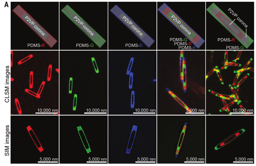 1個(gè)體系做了十余年，磨出5篇《Science》！這些膠束形貌美到令人窒息！
