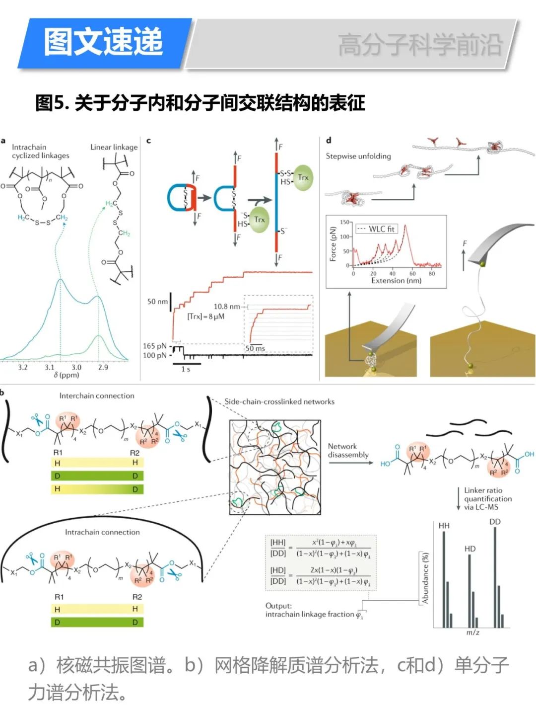 《自然綜述·化學(xué)》自由基聚合多乙烯基單體合成復(fù)雜拓?fù)浣Y(jié)構(gòu)高分子