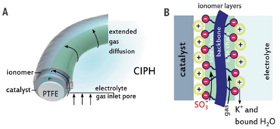 震撼！僅2個(gè)月，發(fā)表1篇Science，10余篇子刊/AM/JACS—加拿大兩院院士Sargent教授成果集錦