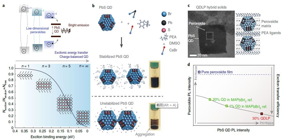 震撼！僅2個(gè)月，發(fā)表1篇Science，10余篇子刊/AM/JACS—加拿大兩院院士Sargent教授成果集錦