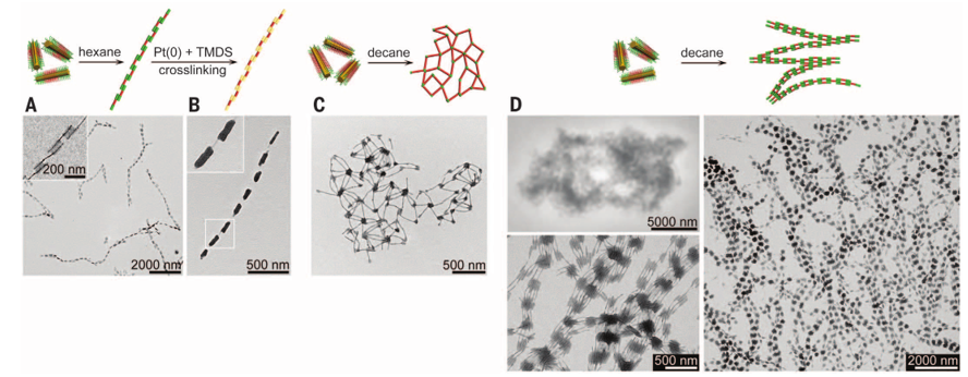 1個(gè)體系做了十余年，磨出5篇《Science》！這些膠束形貌美到令人窒息！
