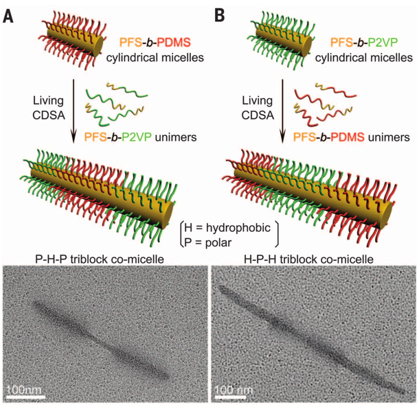 1個(gè)體系做了十余年，磨出5篇《Science》！這些膠束形貌美到令人窒息！