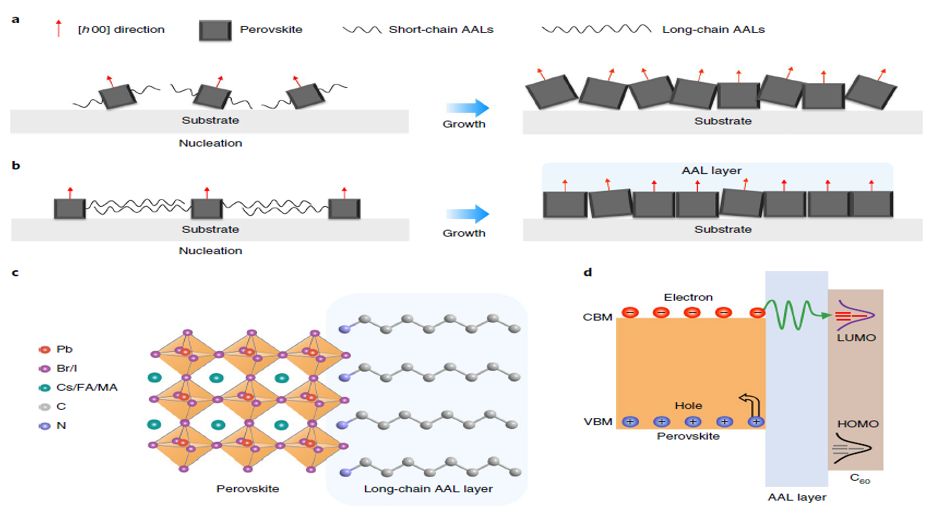 震撼！僅2個(gè)月，發(fā)表1篇Science，10余篇子刊/AM/JACS—加拿大兩院院士Sargent教授成果集錦