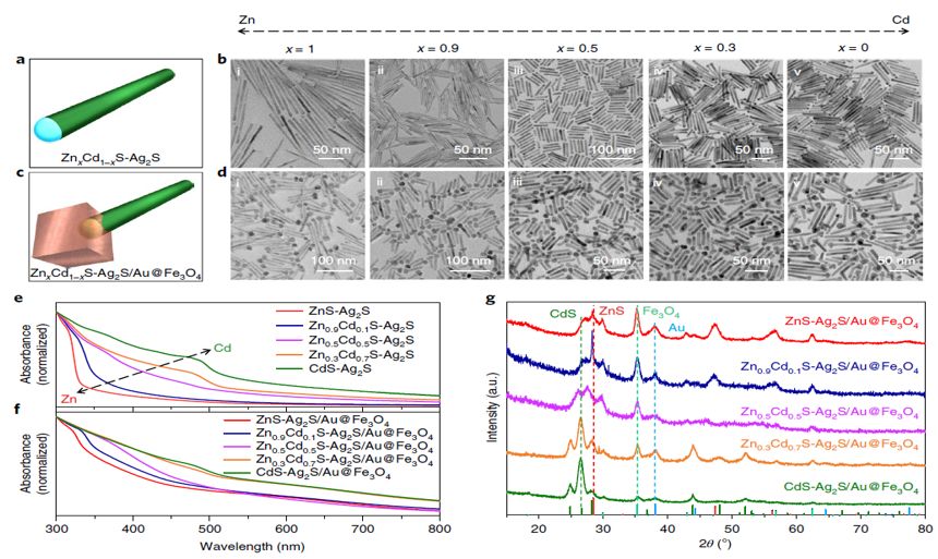 震撼！僅2個(gè)月，發(fā)表1篇Science，10余篇子刊/AM/JACS—加拿大兩院院士Sargent教授成果集錦