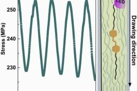 ?Matter最新研究：就這么簡(jiǎn)單，柔性聚合物拉一拉就變剛性致動(dòng)器