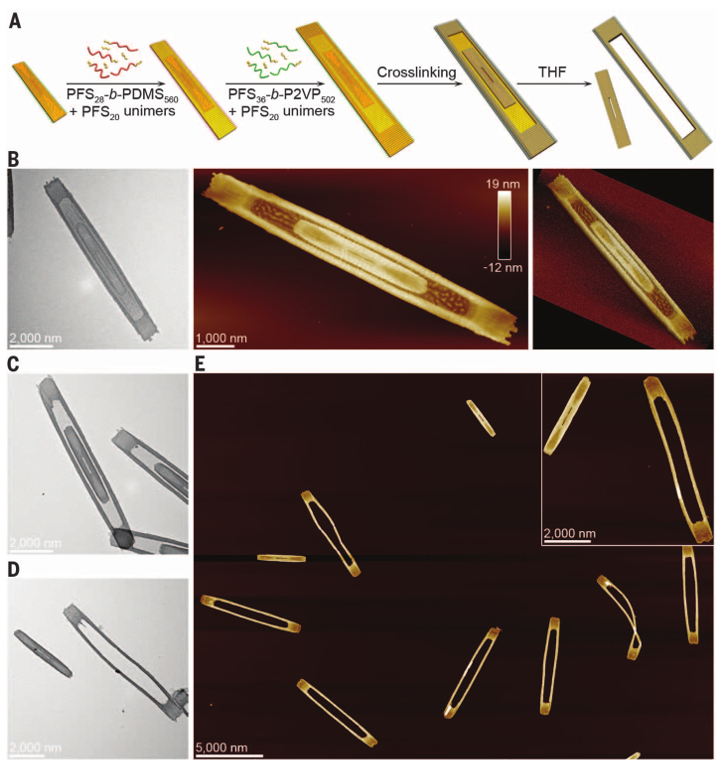 1個(gè)體系做了十余年，磨出5篇《Science》！這些膠束形貌美到令人窒息！