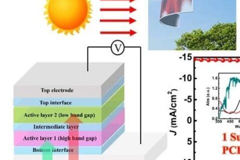 《Science》17.3%！南開大學(xué)陳永勝團(tuán)隊(duì)刷新一項(xiàng)世界紀(jì)錄