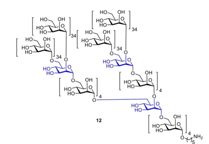 《Nature》譽(yù)為“糖之父”的Seeberger打破世界紀(jì)錄，史上最長(zhǎng)人工合成多糖！