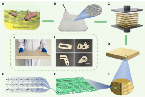 中科大俞書宏院士團隊：又輕、又強、又韌、又尺寸穩(wěn)定的纖維素基結(jié)構(gòu)材料