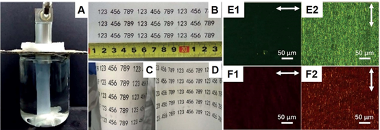 清華大學(xué)王訓(xùn)教授：亞納米材料的類高分子特性