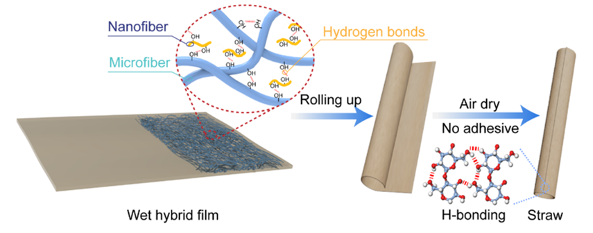 基于微-納米混合纖維素的可降解環(huán)保吸管