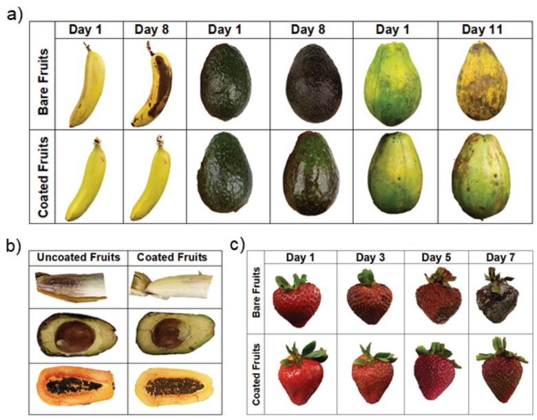香蕉、草莓易腐怎么辦？噴點雞蛋/纖維素納米復合涂層：保鮮、抗菌、成本又低！