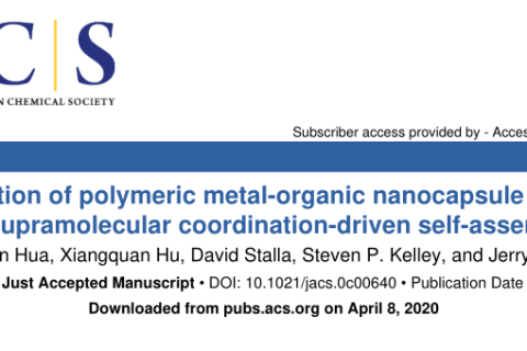 通過超分子配位驅動的自組裝技術構建高分子金屬-有機納米膠囊網(wǎng)絡