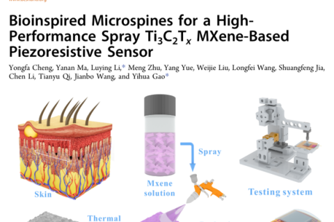 基于仿生微結(jié)構(gòu)的高性能柔性MXene壓阻傳感器研究進(jìn)展