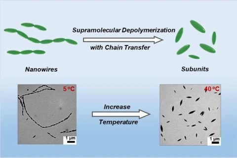 華東理工林嘉平教授團(tuán)隊(duì)在多級納米線的超分子解聚取得新進(jìn)展