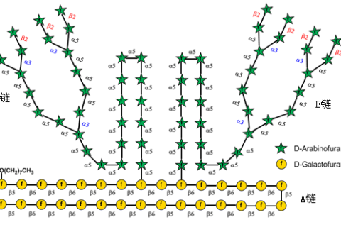 《Nature》譽(yù)為“糖之父”的Seeberger打破世界紀(jì)錄，史上最長(zhǎng)人工合成多糖！