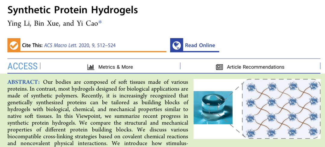 ?南京大學(xué)曹毅團(tuán)隊: 合成蛋白水凝膠的最新進(jìn)展