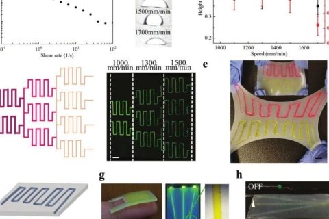 ?南方醫(yī)科大學魯峰團隊等《AFM》：相變蛋清水凝膠—朝著透明、無滯后的可穿戴電子產(chǎn)品發(fā)展