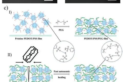 《AFM》：加點PEG，導(dǎo)電高分子實現(xiàn)自修復(fù)！