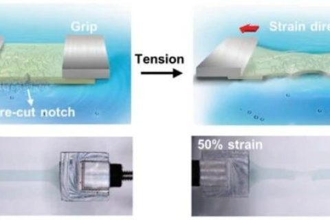 史上最柔！新型抗撕裂、自愈合柔性半導(dǎo)體！