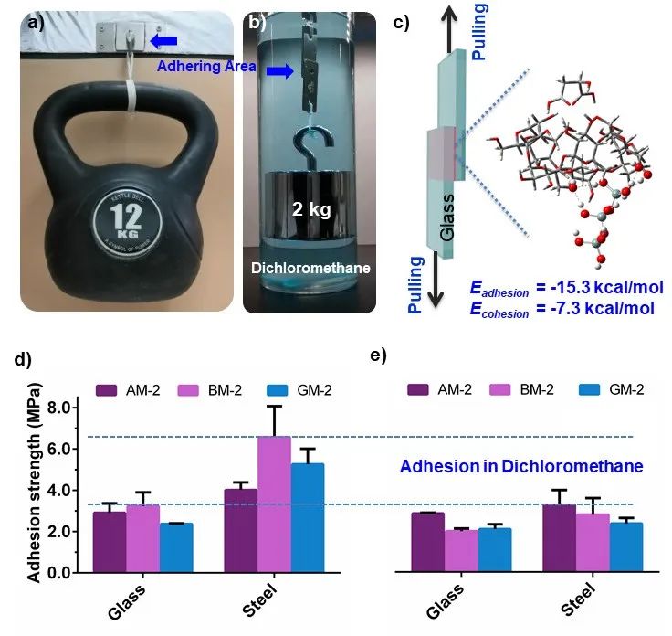 《德國應用化學》低共熔超分子聚合物：新型本體超分子材料