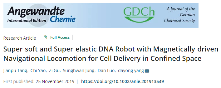 天津大學(xué)仰大勇《德國應(yīng)化》：超軟超彈磁驅(qū)動導(dǎo)航DNA軟體機(jī)器人用于受限空間細(xì)胞遞送