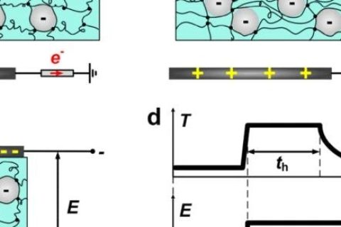 哈佛大學(xué)鎖志剛院士團(tuán)隊(duì)：用這種方法，可伸縮駐極體儲(chǔ)存電荷60天