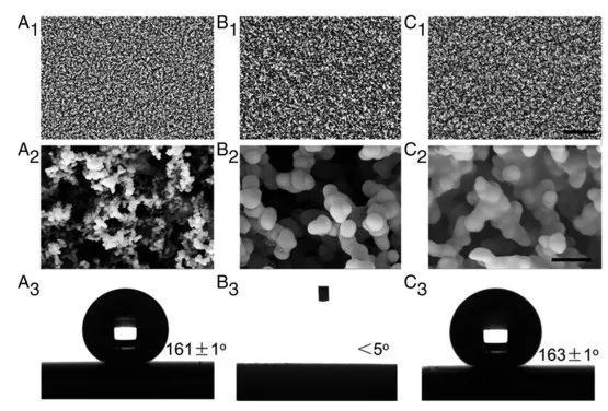 賀曦敏/朱新遠《PNAS》：蠟燭煙灰高效除冰法! 零下50°不結(jié)冰! 光熱去冰自清潔! 