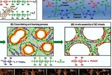 杭州師范大學湯龍程：具有協(xié)同阻燃效應(yīng)的氧化石墨烯反應(yīng)組裝硅橡膠泡沫材料