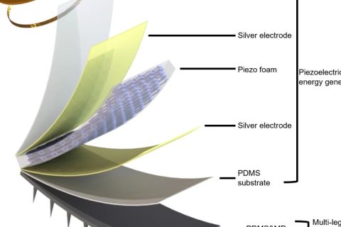 香港城大的無源遠程感知多足機器人，將開拓生物醫(yī)學檢測新應用