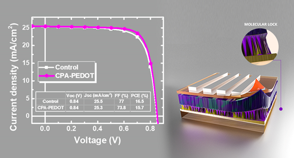 重慶大學(xué)孫寬/中科院重慶研究院陸仕榮：給有機(jī)光伏電池界面加把分子鎖