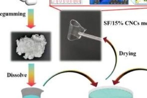 浙江理工大學余厚詠課題組：基于天然高分子構筑仿生電子皮膚應用進展