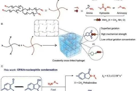 陳學(xué)思院士團(tuán)隊(duì)：固含低至1%！超快制備高強(qiáng)度可降解水凝膠