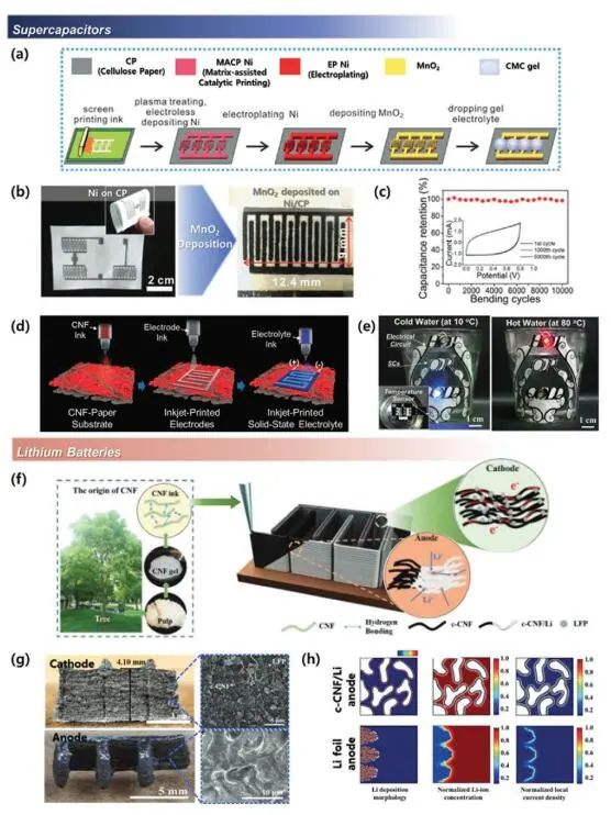 《先進(jìn)材料》綜述：為什么要用纖維素？纖維素基電化學(xué)儲能器件的優(yōu)勢何在？