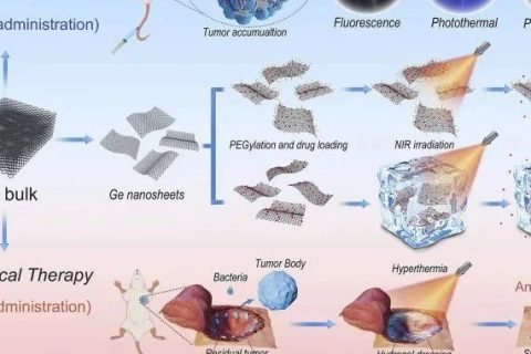 哈佛大學(xué)首用鍺烯！《Matter》鍺烯水凝膠用于抗腫瘤復(fù)發(fā)和傷口感染