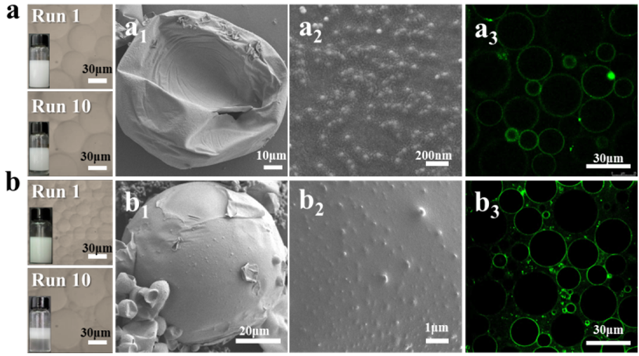 華南理工大學尹壽偉、香港中文大學魏濤《Chem.Sci.》：蛋白質(zhì)驅(qū)動無限循環(huán)的pH響應乳液讓催化劑循環(huán)不再困難