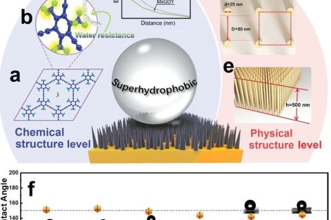 中科院青能所黃長水《Small》：超穩(wěn)定超疏水石墨炔陣列，800天接觸角基本無變化！