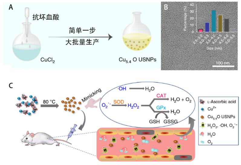 陸軍軍醫(yī)大學(xué)西南醫(yī)院羅高興/鄧君、美國(guó)NIH陳小元，浙大毛崢偉合作：減輕炎癥反應(yīng)的超小Cu5.4O納米酶